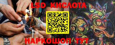 прущая мука Гатчина