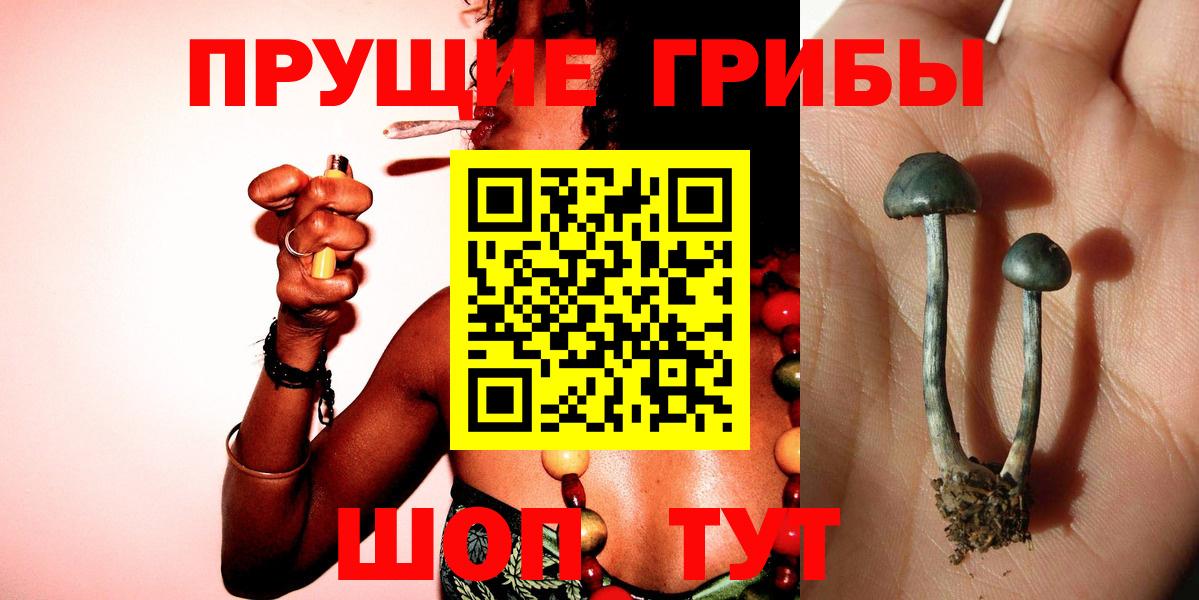 Киселёвск  Галлюциногенные грибы GOLDEN TEACHER  Псилоцибиновые грибы GOLDEN TEACHER  Вход с VPN 